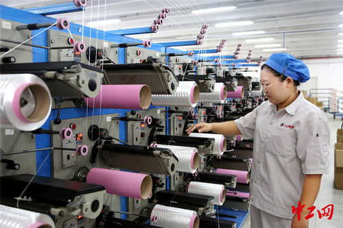 連云港外貿企業“雙輪驅動” 搶訂單與強技術并行，開拓出海新航道