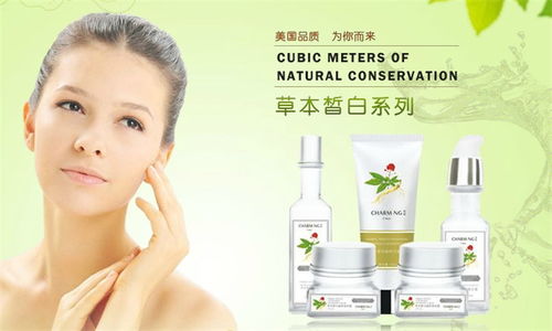 秀匣化妝品 視覺美學與品牌魅力，一站式店鋪裝修與產品展示指南